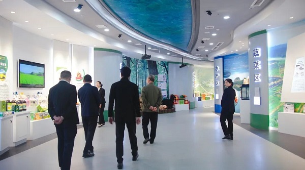 hjc888黄金城--手机版app官网