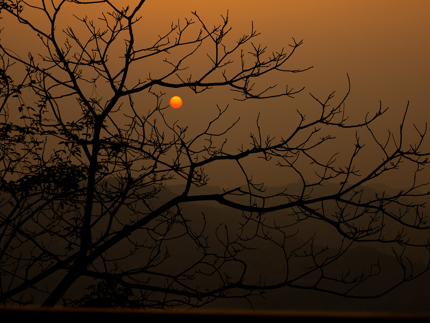 hjc888黄金城--手机版app官网