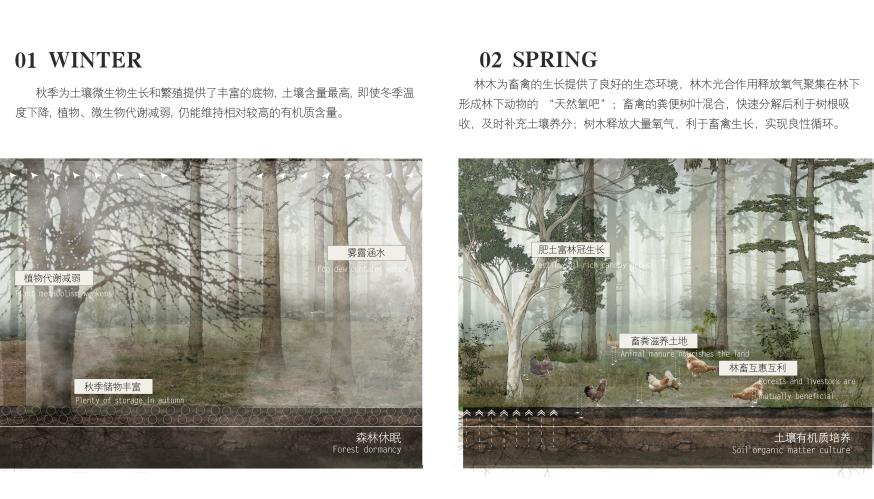 hjc888黄金城--手机版app官网