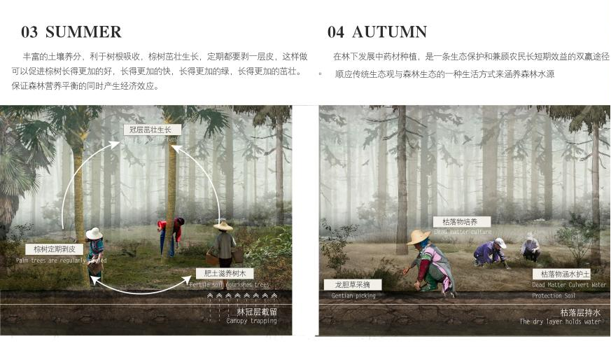 hjc888黄金城--手机版app官网