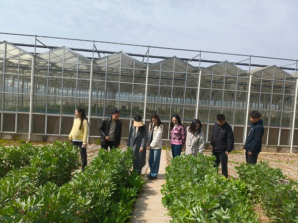 hjc888黄金城--手机版app官网