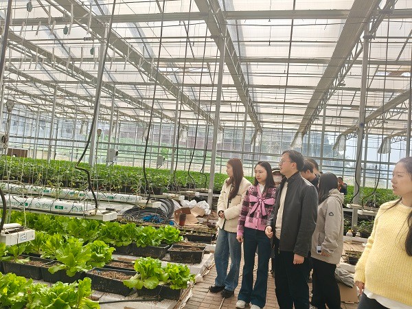 hjc888黄金城--手机版app官网