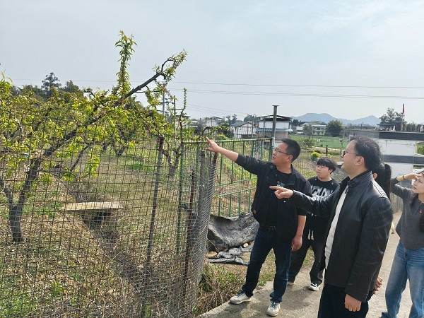 hjc888黄金城--手机版app官网